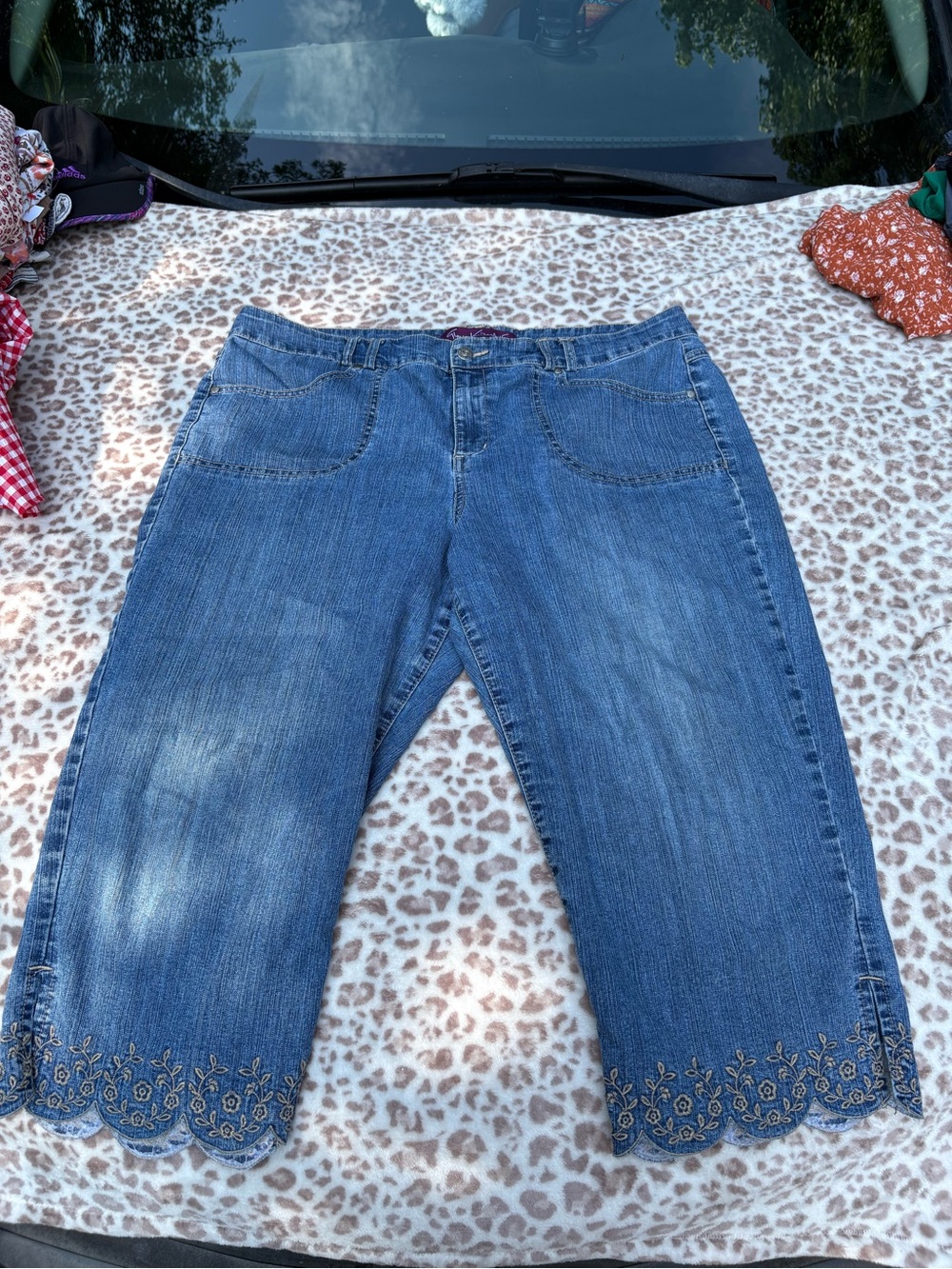 Gloria Vanderbilt Embroidered Capri Pants Size 16 Boho Hippie Fairycore